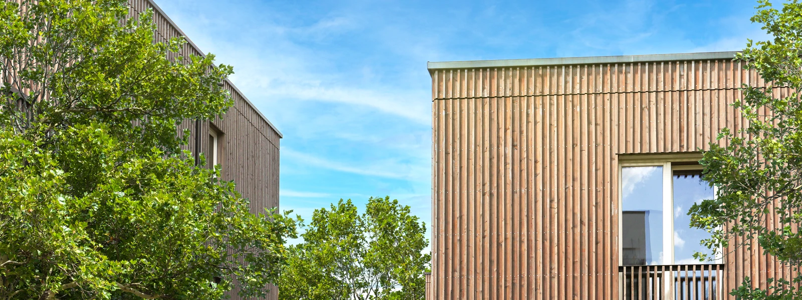 Nachhaltiger Bau aus Holz mit grünen Bäumen